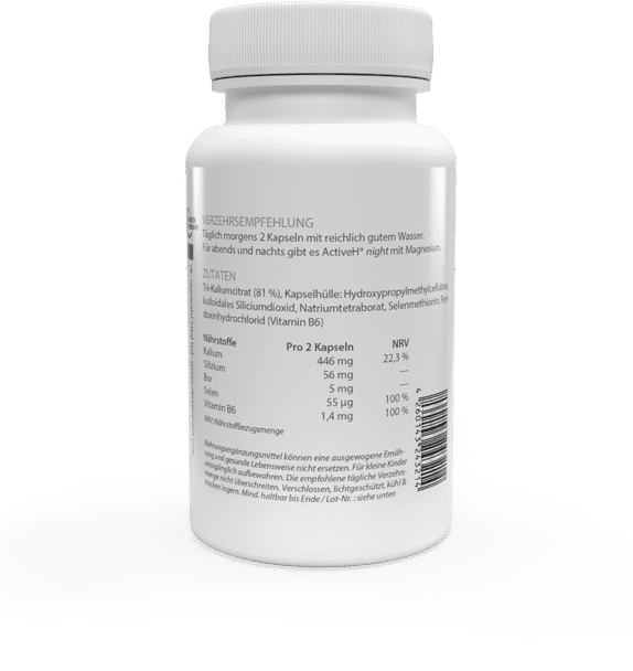 Active H® day von dr.reinwald vital