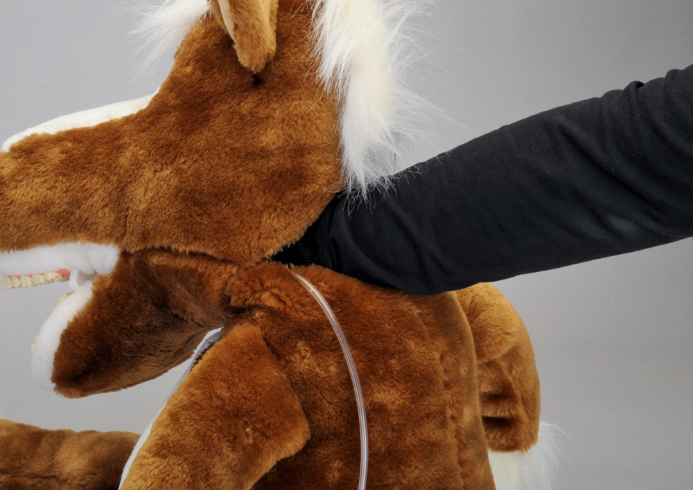 Putzi Buddy Teddy Bär Handpuppe